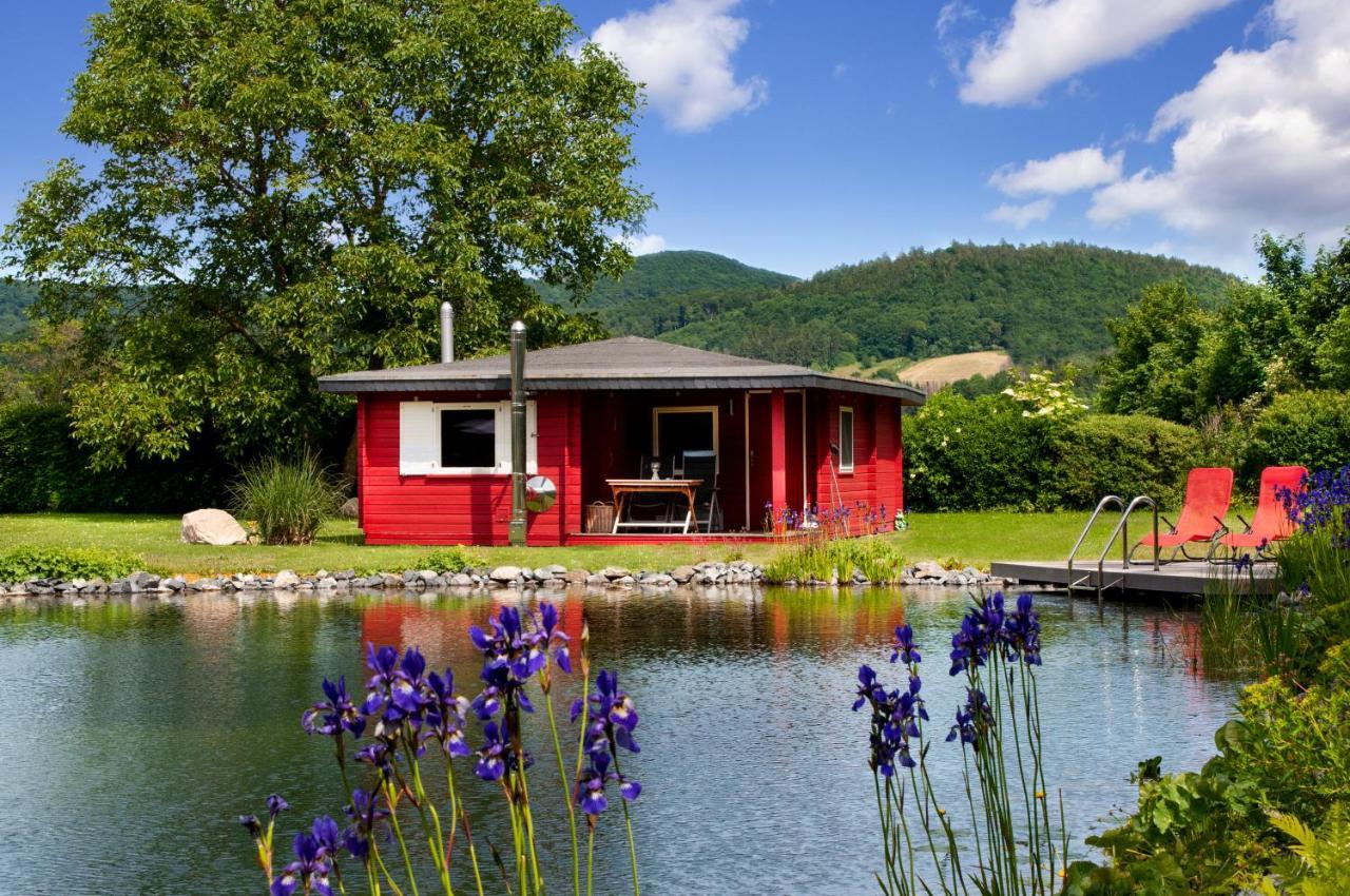 Romantic Wooden Lodge,Sauna,Schwimmteich,Alleinstehend,Absolut Ruhig Hessisch Oldendorf Exterior foto